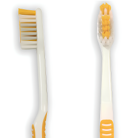 Anti Bacterial Bristles